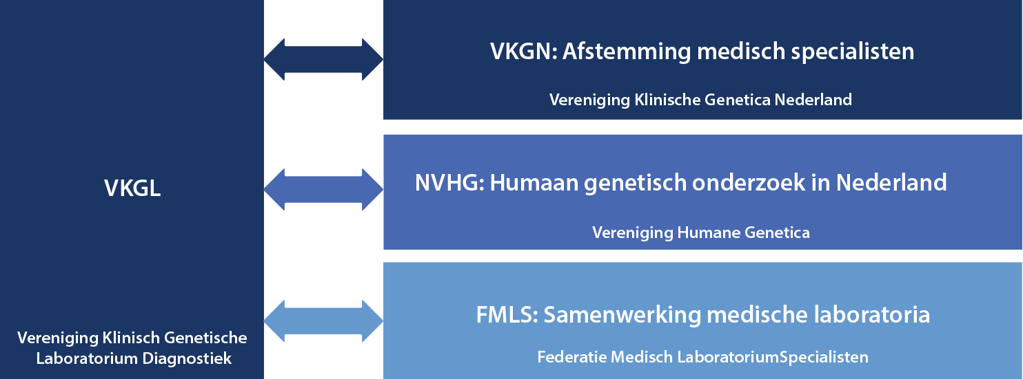 Samenwerking opbouw